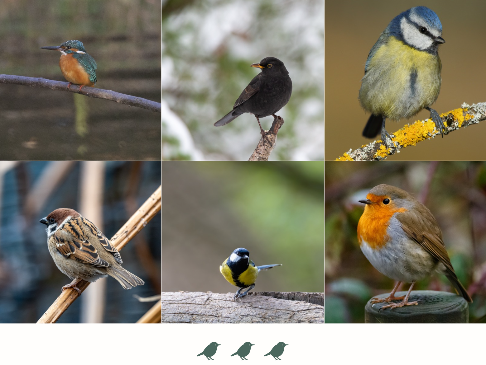 Qui sont les visiteurs de nos jardins ? - Les Abords Sauvages