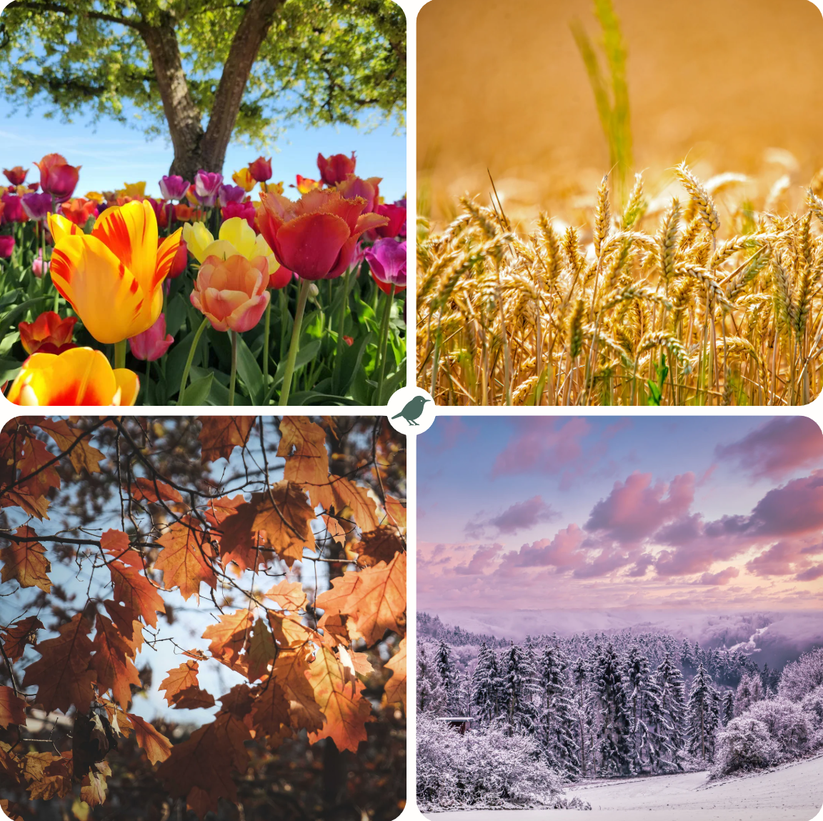 Faut-il installer un nichoir dans son jardin ?